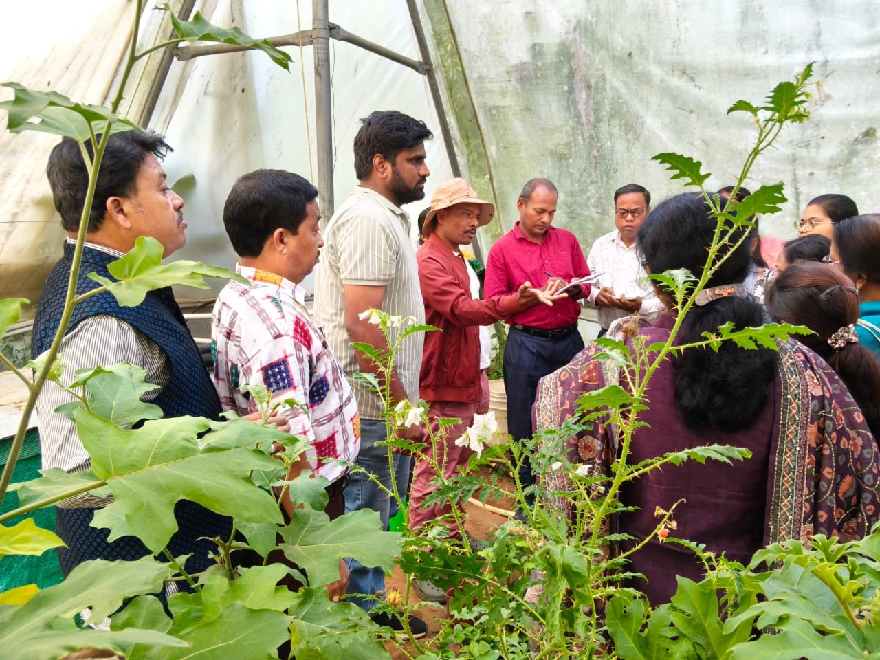 Refresher Training Programme on Advanced Techniques in Modern Vegetable Cultivation was held at CHES-IIHR, Bhubaneswar