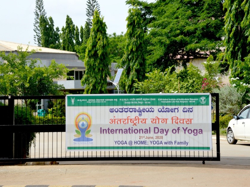 International Day of Yoga celebrated at ICAR-IIHR on 21st June 2020: Yoga@Home: Yoga with Family